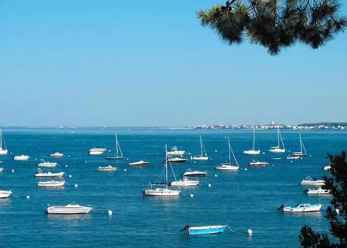 Des Ecureuils By Interhome Vila *